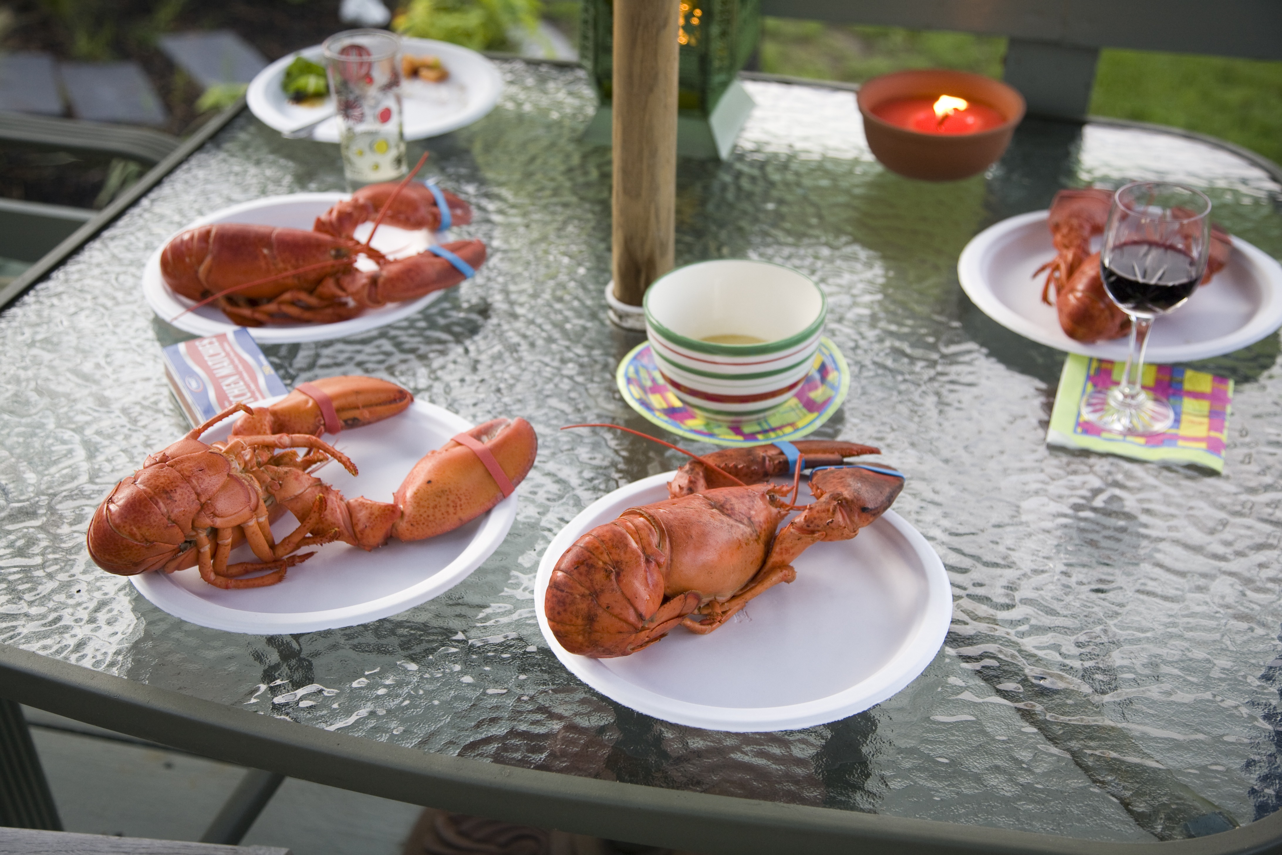 Fresh-Live-Maine-Lobster-Cristinas-Maine-Beach-Rentals
