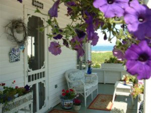 Crisina's_Bed_and_Breakfast_Petunis_on_Porch