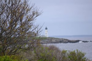 Maine-Ocean-views-and-Vacation-Rentals-Cristinas-800-533